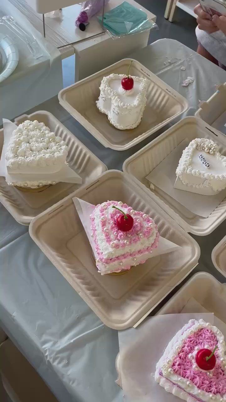 Fake Cake Decorating Craft Kit
