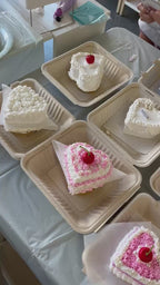Fake Cake Decorating Craft Kit