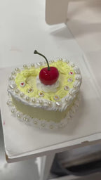 Fake Cake Decorating Craft Kit