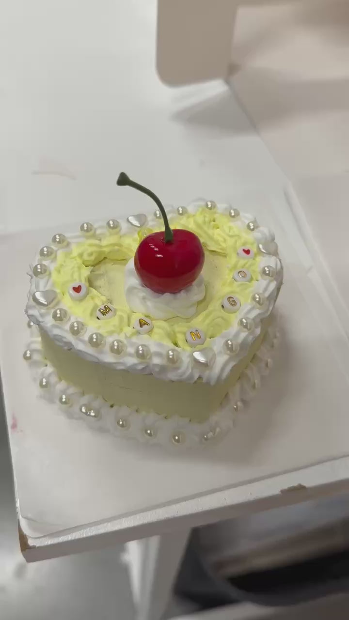 Fake Cake Decorating Craft Kit